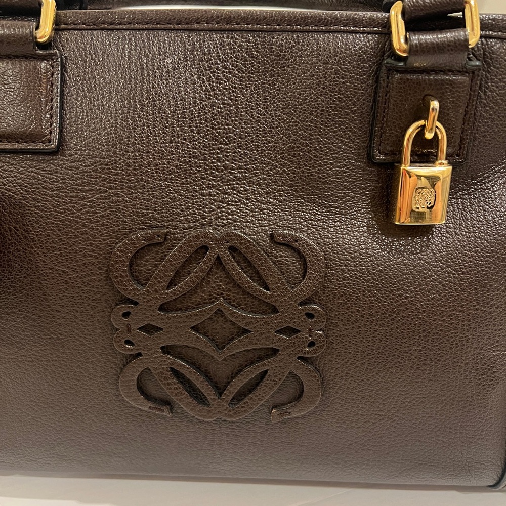 Loewe Amazona Leather Tote Bag in brown Dark Brown Leather - Picture 5 of 15